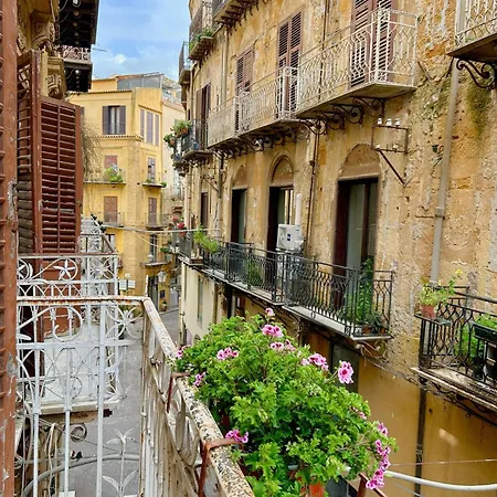 Nuovo Piccolo Gellia