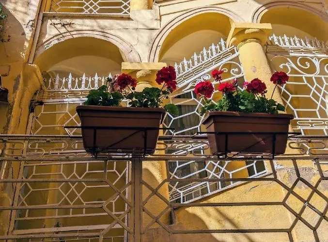 Nuovo Piccolo Gellia